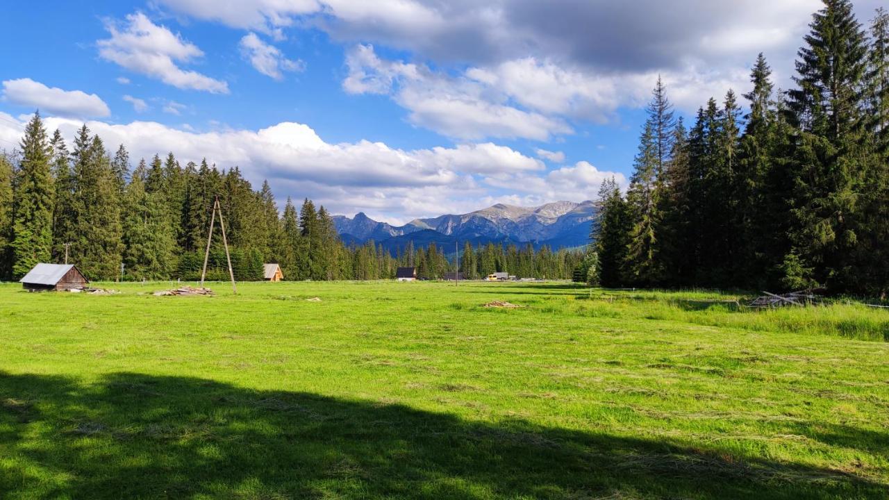 Domek Drewniany Szafran Witów Exteriör bild
